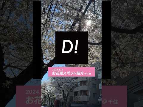 お花見スポット紹介@千住 #東京電機大学 #電大 #TDU