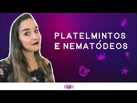 PLATYHELMINTHS AND NEMATODES - ZOOLOGY l Prof. Louise Medeiros