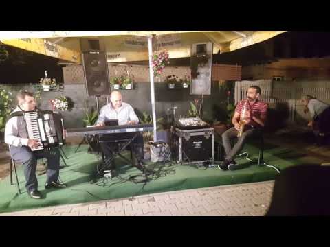 Nicusor Troncea, Marinel Purcelan si Costel de la Turnu live 5 septembrie 2016 Gighera