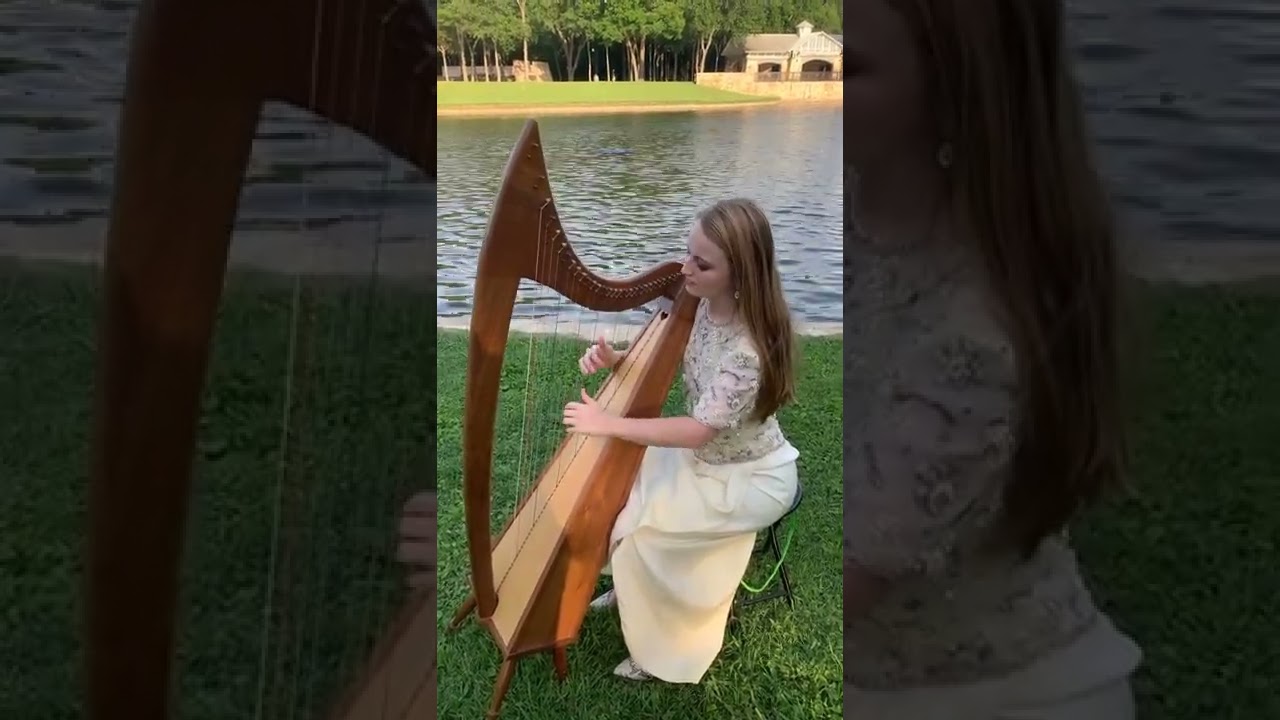Promotional video thumbnail 3 for Kinsey Mitton Harp