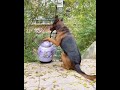 The comfort of the elders