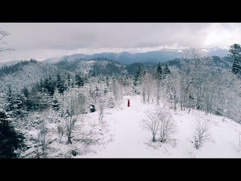 Inner Core - SNOWSTORM (Official Video)