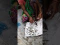 Small Fish Cutting Part 9 Kau