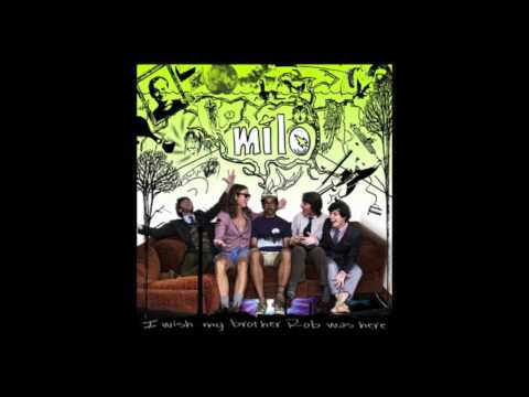 Milo - One Lonely Owl