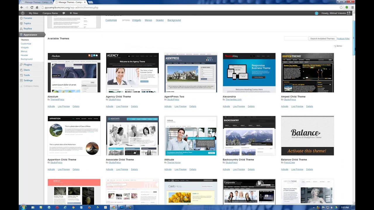 Getting Started with Themes