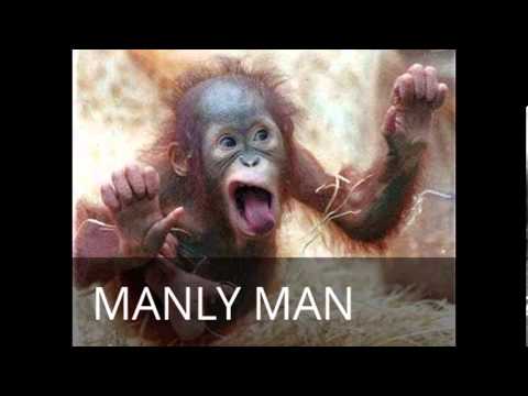 WOW-JA COW-JA with words