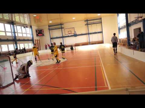 2014-04-12 1. FbK Jablonec n.N. - SK Bivoj Litvínov 7:11 (Děčín)