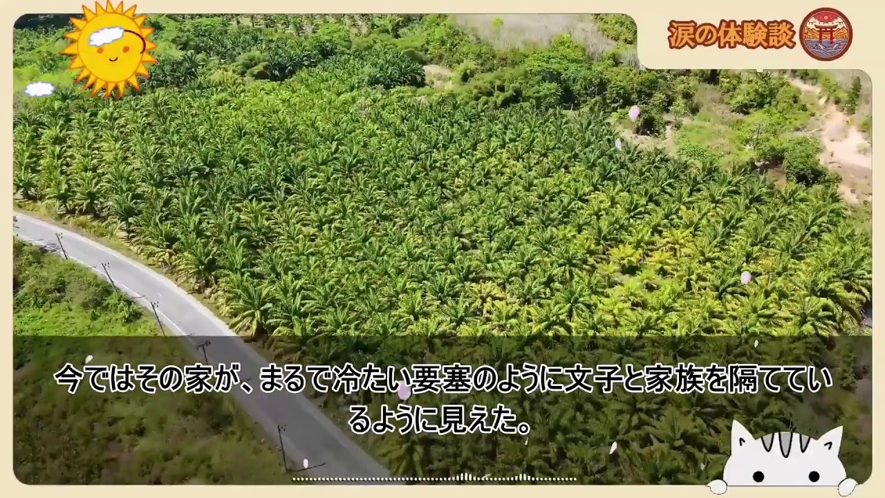 || Hai Lúa Computer