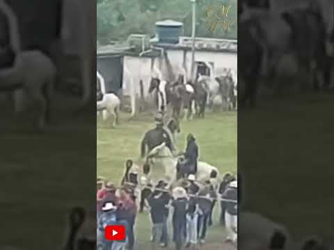 cavalgada minas gerais #cavalgada #hmcm-2025 https://youtu.be/IhBvlXXFS8s?si=3V3yc1WK9RLDB4HT