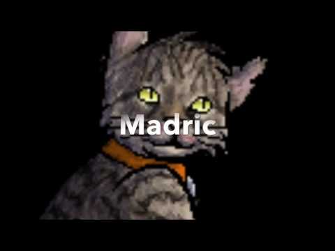 List Of All Kittypets | Warrior Cats