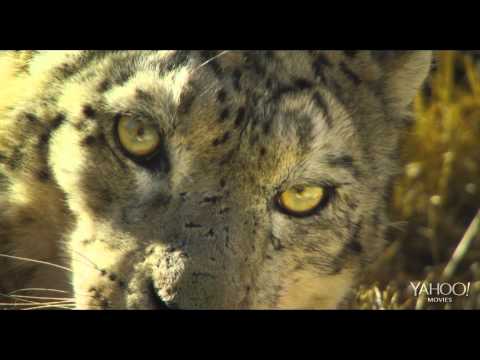 Born In China - Official® Trailer [HD]