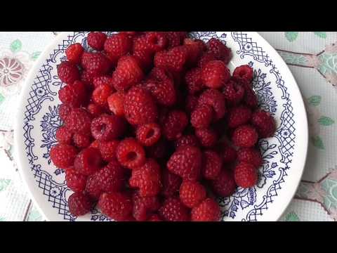 ラズベリーの茂みを剪定する時期はいつですか?その理由と作り方 + 簡単に作れる自家製ジャムのレシピ 1 つ!  庭園