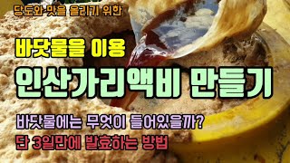바닷물농법 바닷물인산가리액비 만드는 방법 당도와 맛을 올리기 위한 친환경 바닷물비료 액비 만들기 공기주입기로…