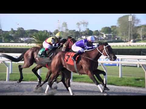 230318 c07 ALGARROBO