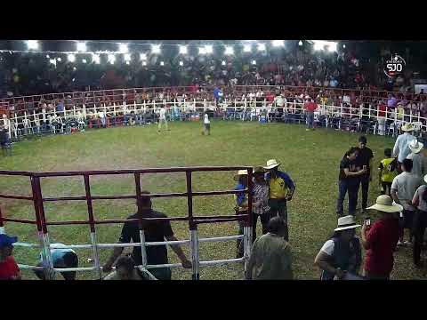 Corrida de Toros - Villa del Rosario 2025