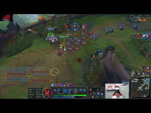 [Weekly blossom] 7월 5주차 블라썸 하이라이트!