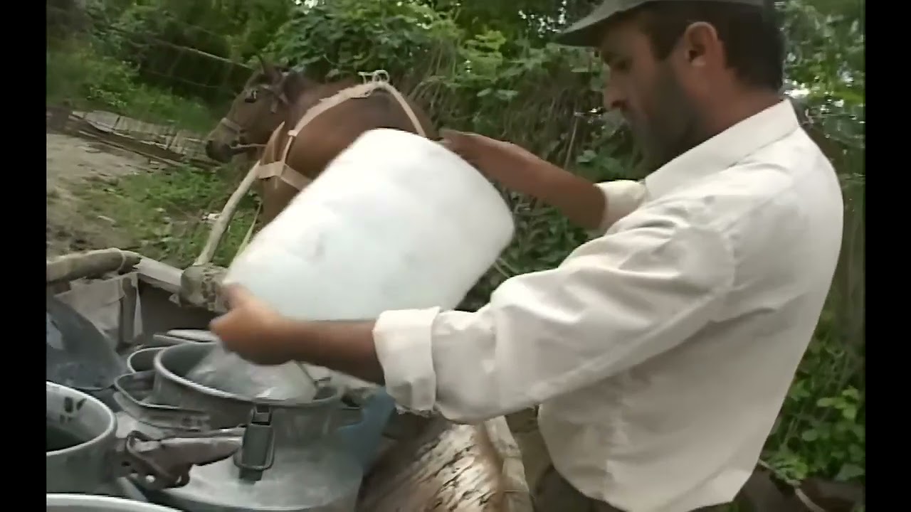 local water supply