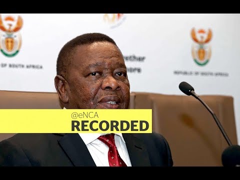 Minister Blade Nzimande details higher education plans on COVID 19