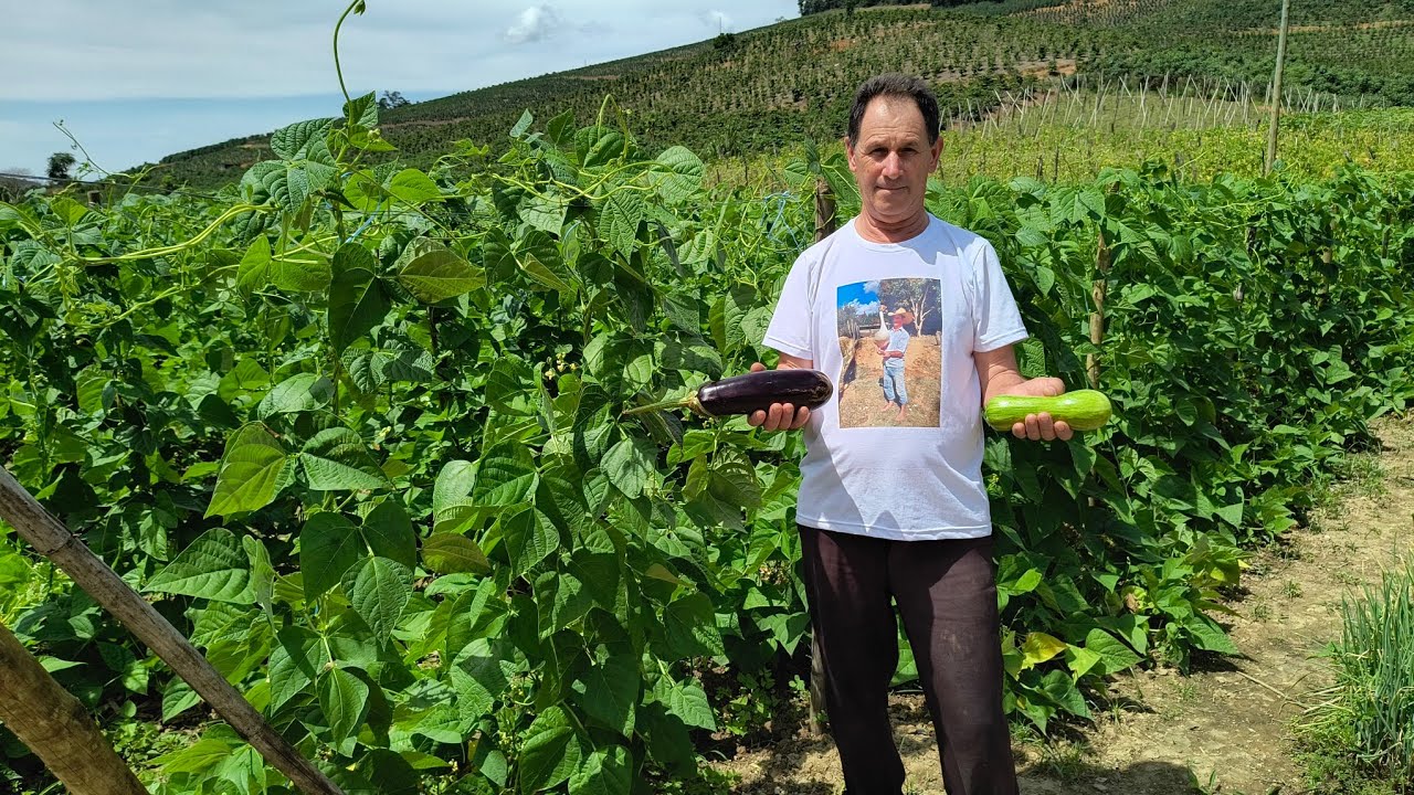 NOSSO SÍTIO É UM PARAÍSO.NOSSA PRODUÇÃO NO SÍTIO.MANDIOCA,PITAYA,INHAME E MUITO MAIS.