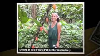 preview picture of video 'Cocoa Plantation Mikeandmary's photos around Old Hacienda Bukari, Venezuela (travel pics)'