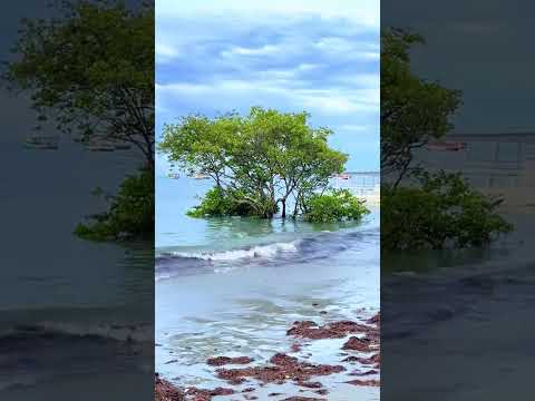 Praia de Requenguela, Icapuí Ceará