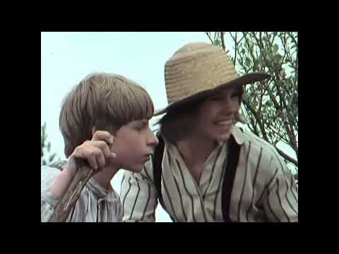 Die Abenteuer von Tom Sawyer und Huckleberry Finn / 05 Schiffbruch