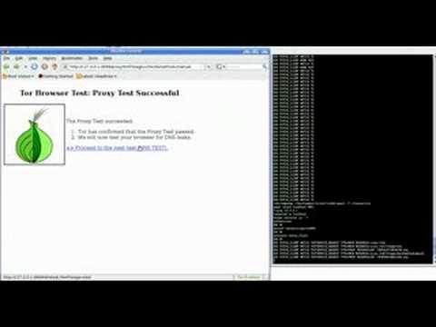 Tor Browser Test - Manual