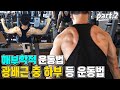 해부학적 운동법 광배근 중하부 등 운동(part.2)굽은 등 체형 필수시청/바벨로우,랫풀다운