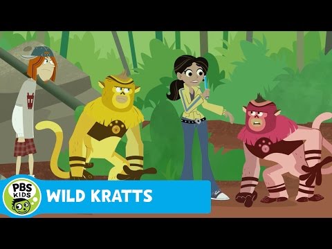 WILD KRATTS | No Color, No Fun | PBS KIDS