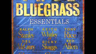 1511 James Alan Shelton &amp; Tim Stafford - Shady Grove