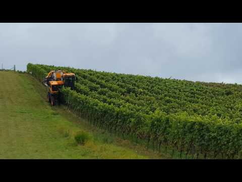 Pellenc Optimum | Weinlese 2016