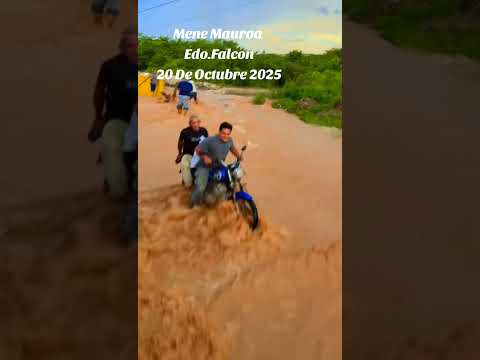 Mene Mauroa Edo Falcon