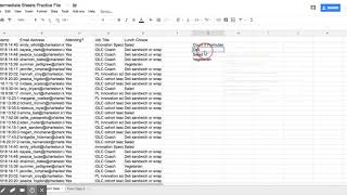 Download the video "Google Sheets: Intermediate - Using CountIf Formulas to Count Items in a Long List"