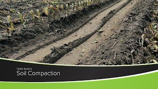 Soil Compaction