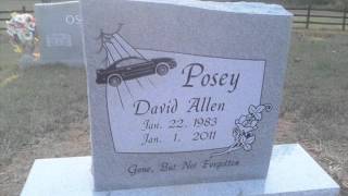 Hard Times David rip