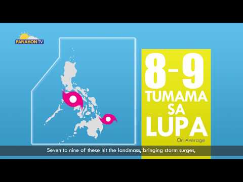 Mabilis na pagbaba ng timbang na may marina Korpan 13 Epektibong paraan upang mawala ang timbang sa ang mga binti