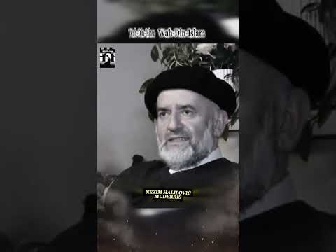 DZIN ILI ZENA - Nezim Halilovic Muderris 