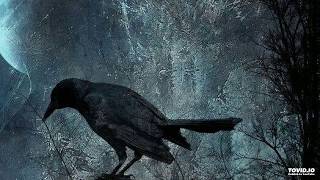 Seraphim Shock - Nightmares For The Banished [Ep]