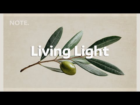 Living Light | Chill House for a Positive Morning Vibe