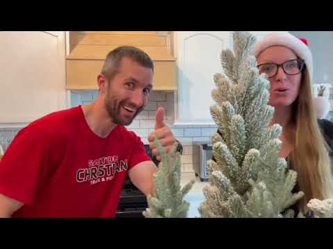 🌲 Christmas in July- All the Kitchen Hacks!