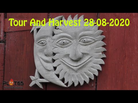 TOUR AND HARVEST 28 08 2020