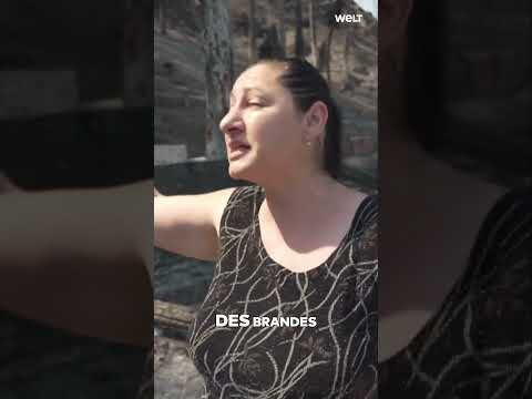 WALDBRÄNDE IN GRIECHENLAND UND ALBANIEN: Feuerinferno zerstört Natur und Existenzen! #shorts