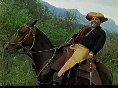 Tiempos de chango - Negro Palma