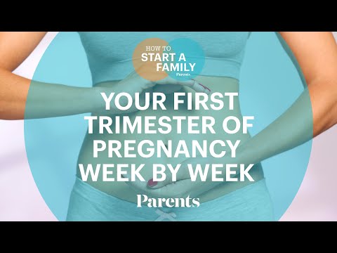 OB-GYN Breaks Down Your First Trimester of Pregnancy Week-by-Week | How to Start a Family | Parents