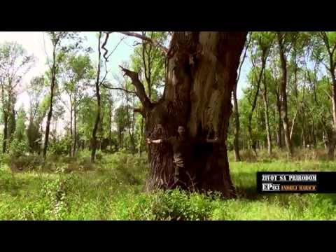 ANDREJ MARIČIĆ : Život sa prirodom EP 3 TREJLER HD