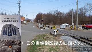 【JR東日本小海線】小海線第３甲州街道踏切通過動画《JR鉄道最高地点より》