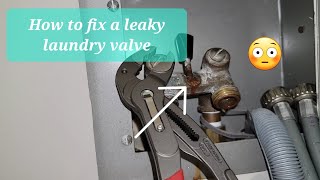 How to replace a Watts laundry shut off valve