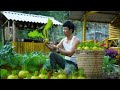CEO Trieu Dan Harvests Products He Created Himself Amidst A Peaceful Mountain Landscape