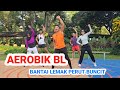 BL AEROBIC WORKOUT TO BURN BELLY FAT