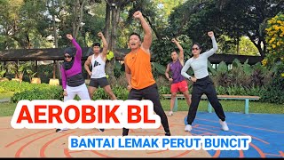 Download lagu BL AEROBIC WORKOUT TO BURN BELLY FAT mp3